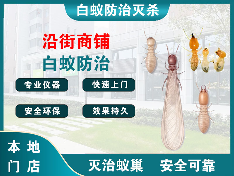 上海沿街商铺白蚁防治