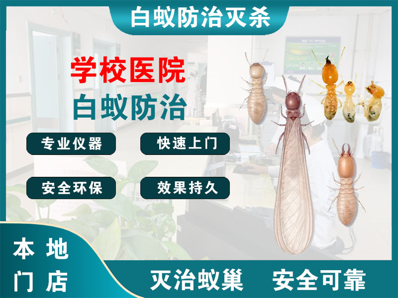 上海学校医院白蚁防治