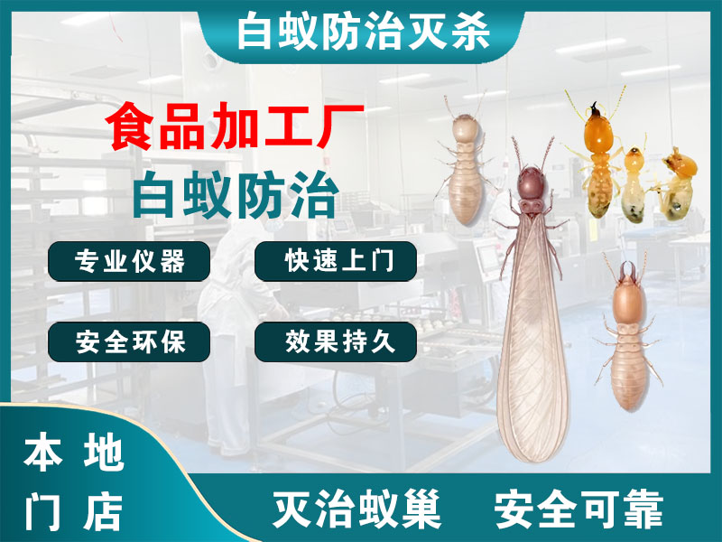 上海食品加工厂白蚁防治
