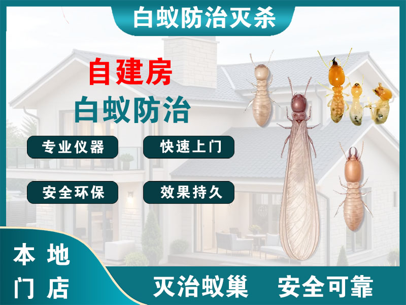 上海自建房白蚁防治
