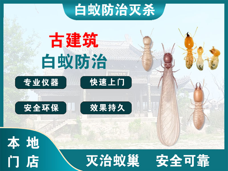 上海古建筑白蚁防治