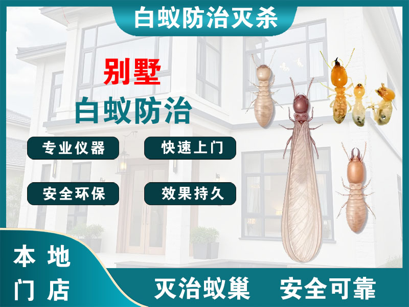 上海别墅白蚁防治